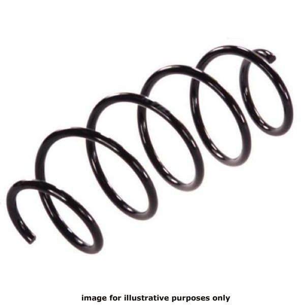 NEOX COIL SPRING  13402 image