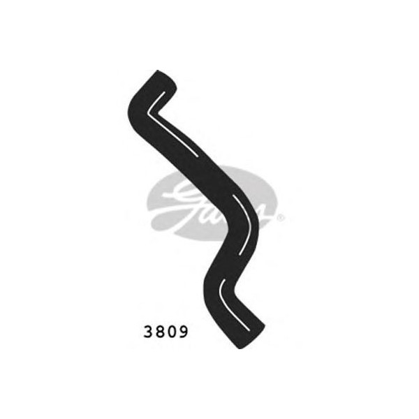 CURVED RADIATOR HOSE 400MMX32 image