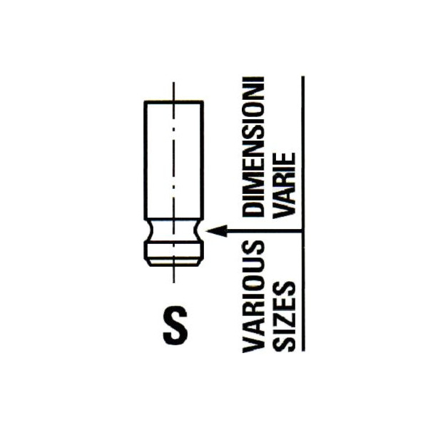 Inlet Valve (single groove) image