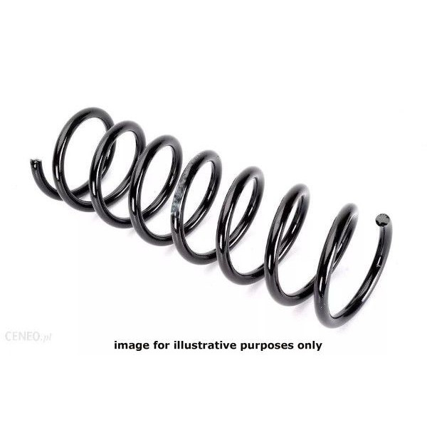 NEOX COIL SPRING  RA6692 image