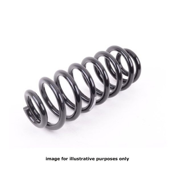 NEOX COIL SPRING  RG1332 image