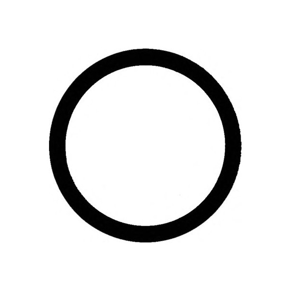 O Ring Seal image