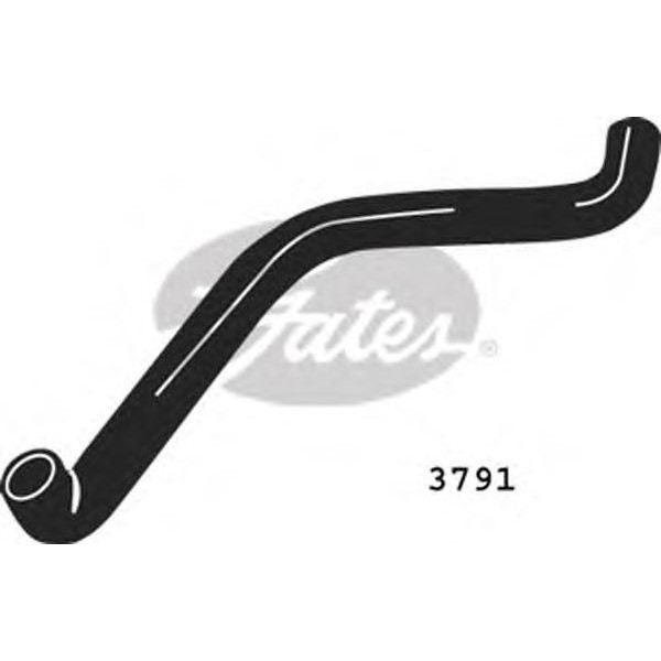 CURVED RADIATOR HOSE 550MMX31 image