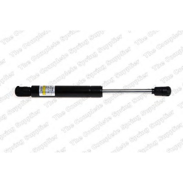 GAS SPRING REAR FORD image