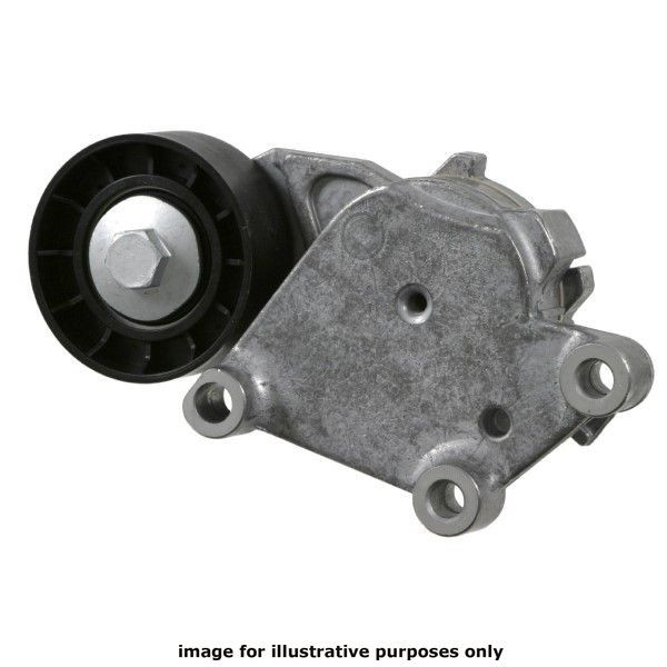 TENSIONER PULLEY C1 1.4HDi 05-10 image