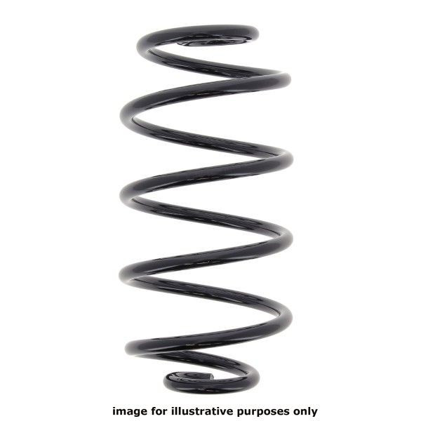 NEOX COIL SPRING  RJ6232 image