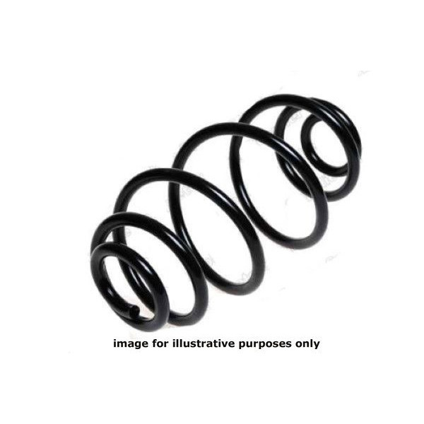 NEOX COIL SPRING  RJ5137 image