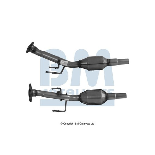 Homologated Petrol Cat image