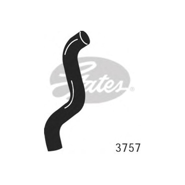 CURVED RADIATOR HOSE 310MMX32 image