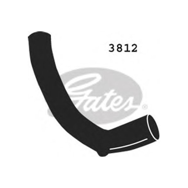 CURVED RADIATOR HOSE 255MMX31 image