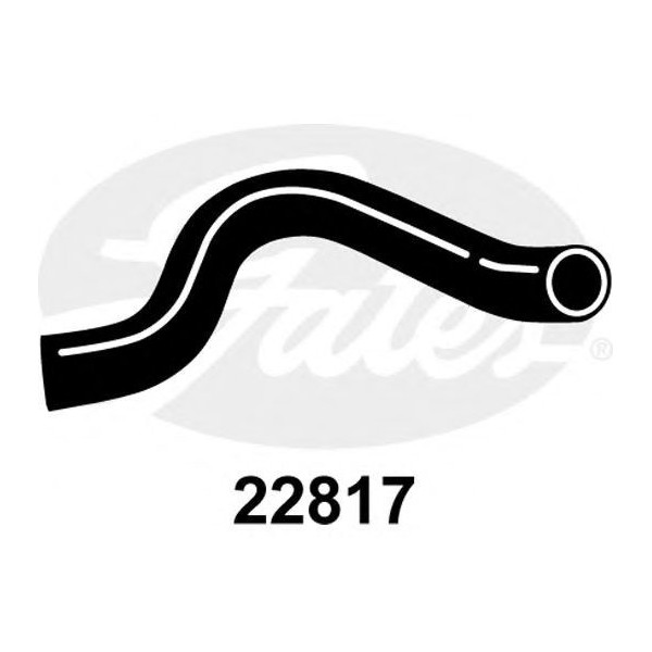 CURVED RADIATOR HOSE 310MMX37 image