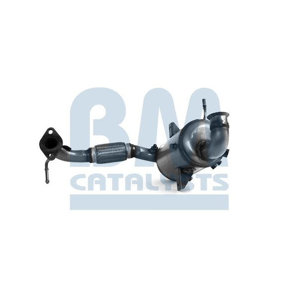 Homologated Diesel Cat & DPF image