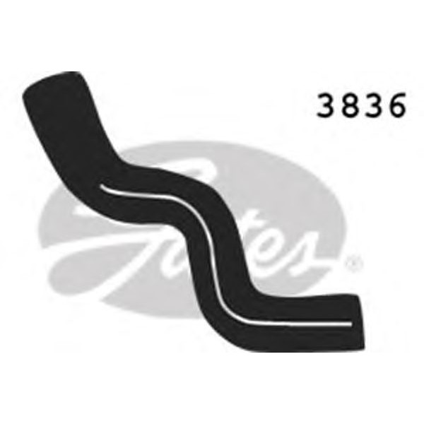 CURVED RADIATOR HOSE 290MMX31 image