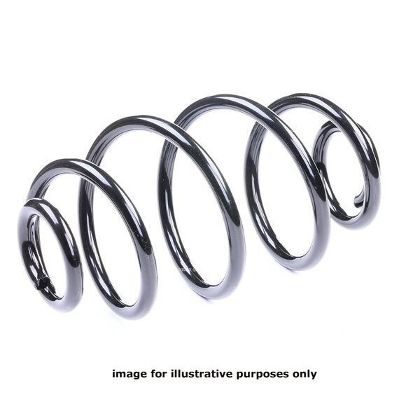 NEOX COIL SPRING  RJ6645 image