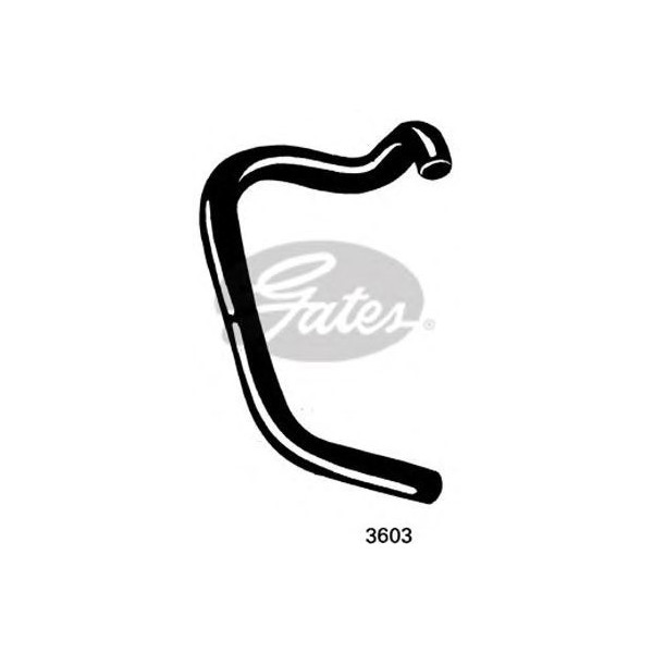 CURVED RADIATOR HOSE 425MMX31 image