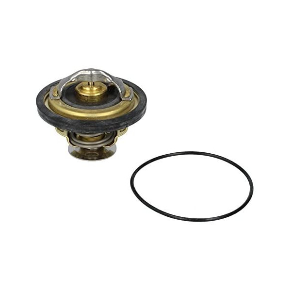 FIAT / RENAULT / VAUXHALL THERMOSTAT image