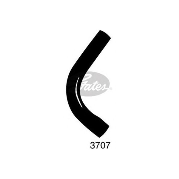 CURVED RADIATOR HOSE 280MMX31 image