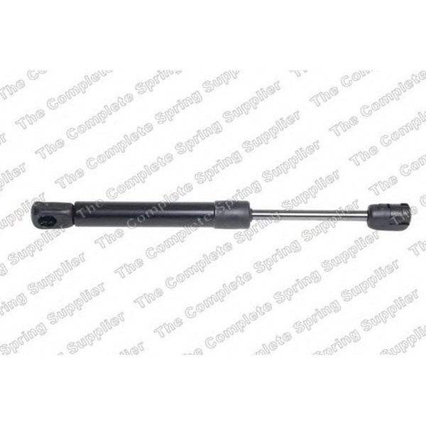 GAS SPRING REAR FIAT image