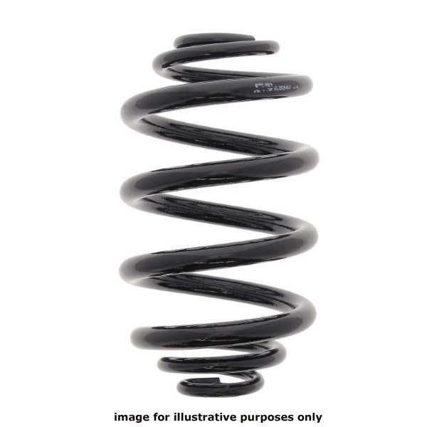 NEOX COIL SPRING  RJ6665 image