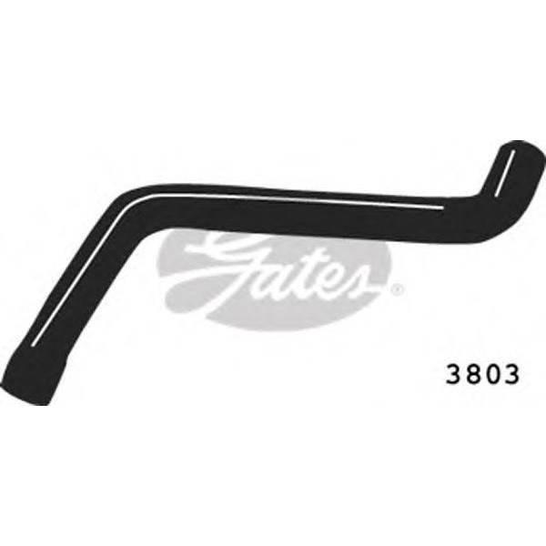 CURVED RADIATOR HOSE 450MMX31 image