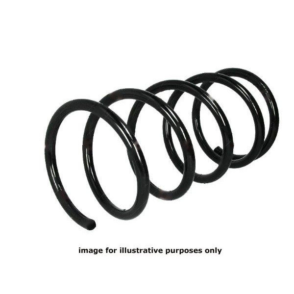 NEOX COIL SPRING  RA3119 image