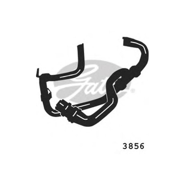 CURVED RADIATOR HOSE 535MMX31 image