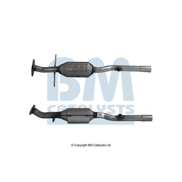 Homologated Petrol Cat image