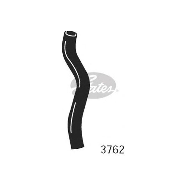 CURVED RADIATOR HOSE 330MMX31 image