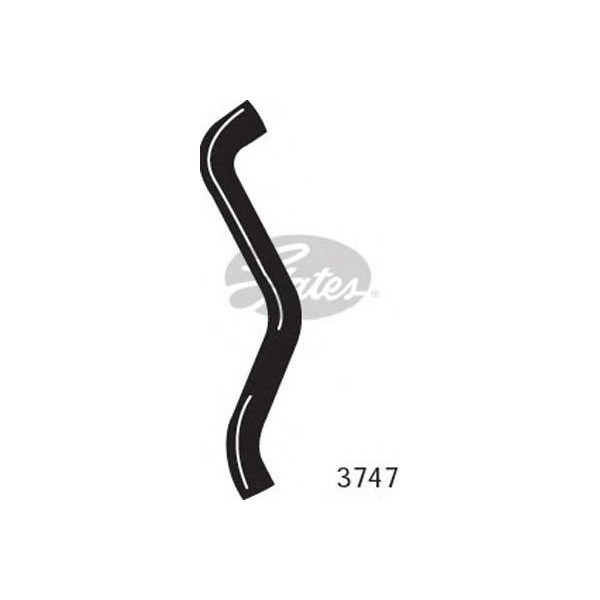 CURVED RADIATOR HOSE 420MMX32 image