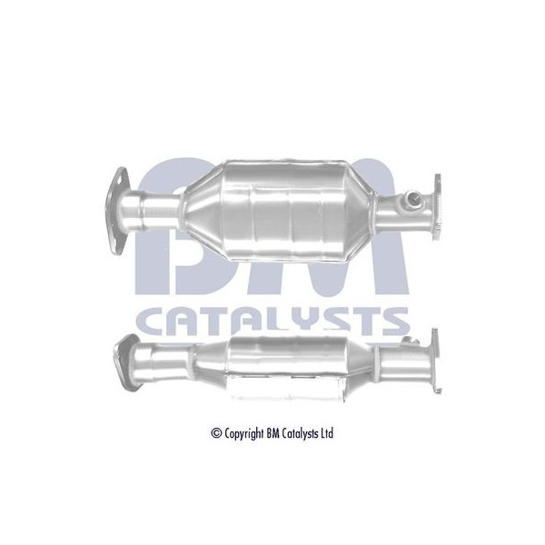 Homologated Petrol Cat image