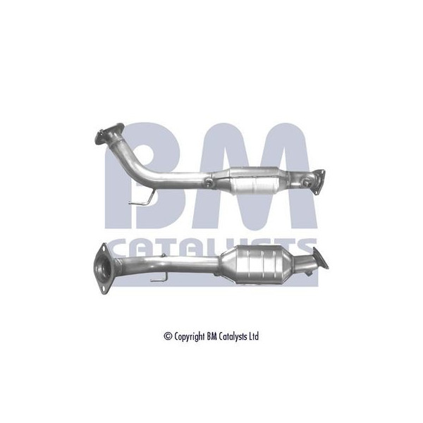 Homologated Petrol Cat image