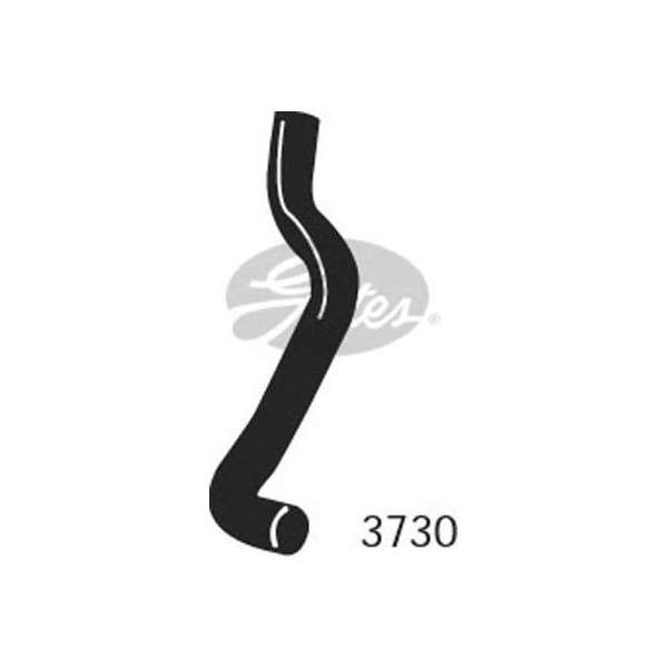 CURVED RADIATOR HOSE 300MMX26 image