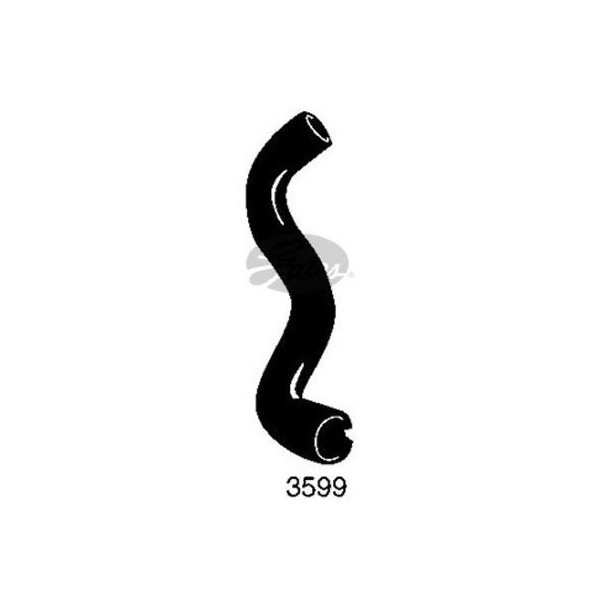 CURVED RADIATOR HOSE 280MMX31 image