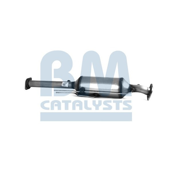 Homologated Diesel Cat & DPF image