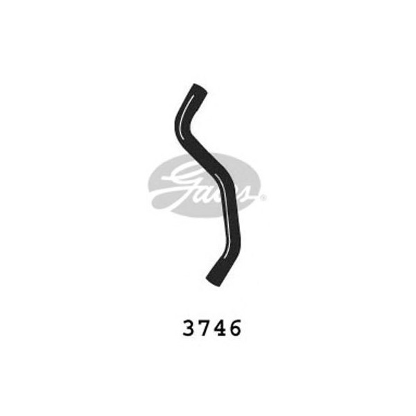 CURVED RADIATOR HOSE 465MMX31 image