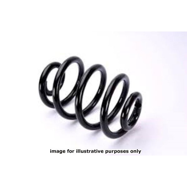 NEOX COIL SPRING  RX6201 image