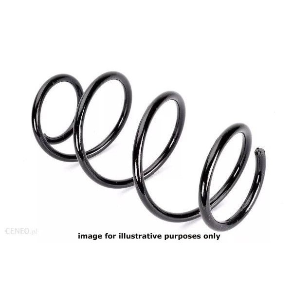 NEOX COIL SPRING  RH3541 image