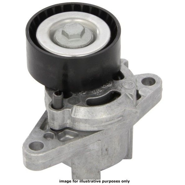 TENSIONER CLIO 1.4 98-07 image