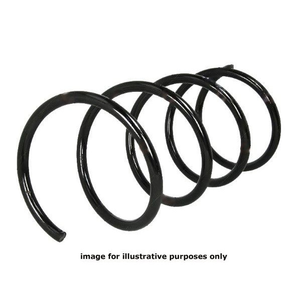 NEOX COIL SPRING RA3104 image