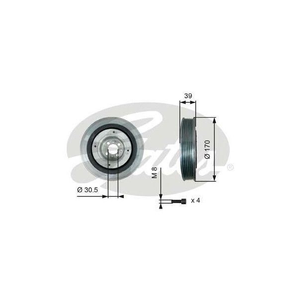 TORSIONAL VIBRATION DAMPER KIT image