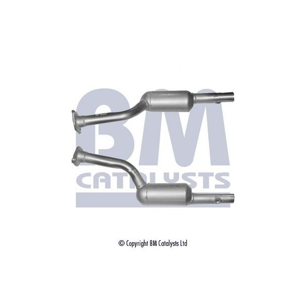 Homologated Petrol Cat image