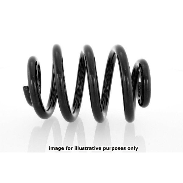 NEOX COIL SPRING  RJ5558 image