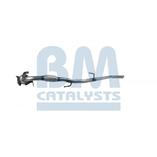 Homologated Petrol Cat image