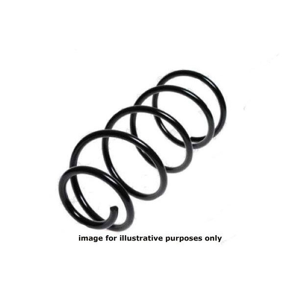 NEOX COIL SPRING  RG3404 image