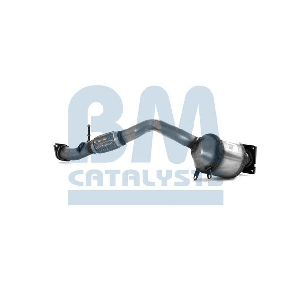 Homologated Diesel Cat image