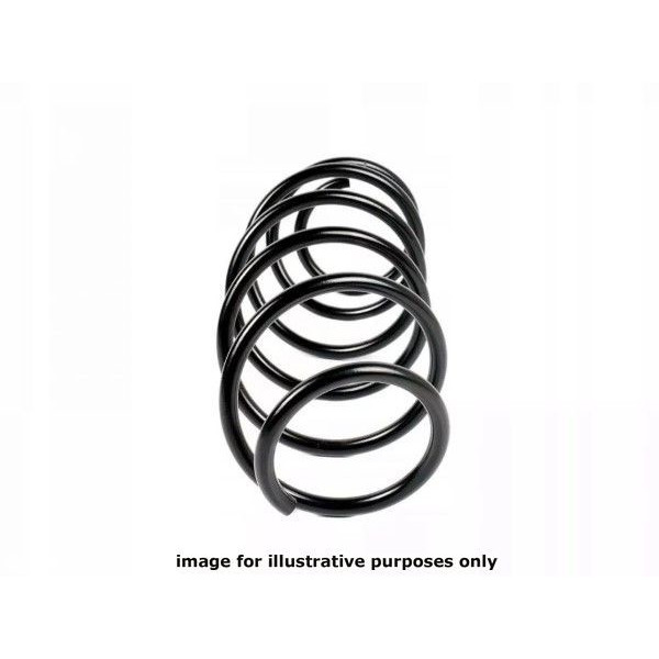 NEOX COIL SPRING  RA3948 image